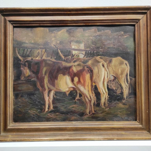 Pri kŕmeni