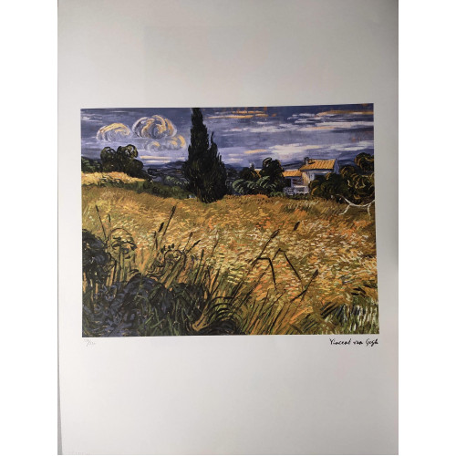 Green wheat field