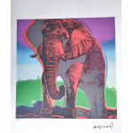 Elephant Art